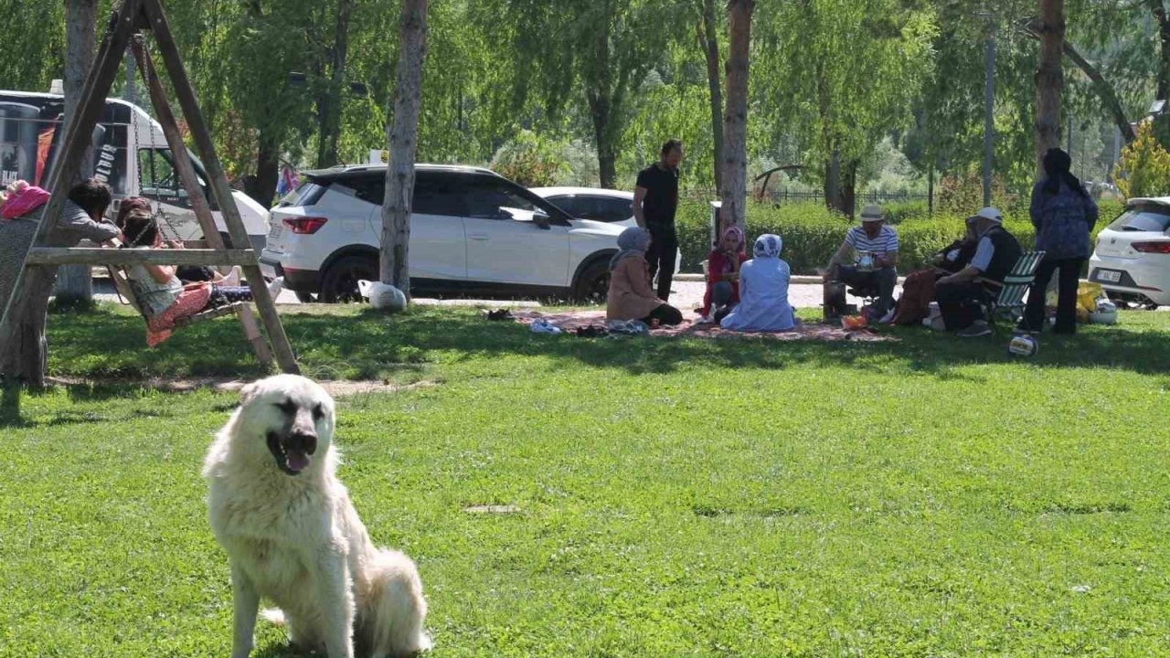 Hafta sonu mesire alanları doldu