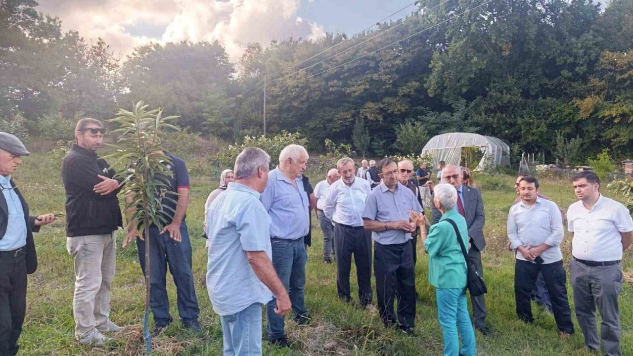 Arıcılar ve akademisyenler kestane balının geleceğini konuştu