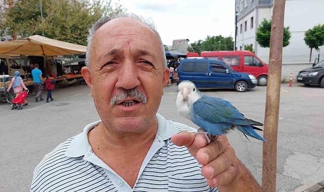 2 yıldır çarşı pazar omuzunda Sevda Papağanı ile geziyor
