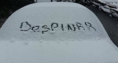 Beşpınar -24’le buz kesti