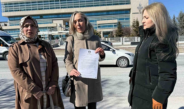 Sokak köpeği saldırılarında sorumlulara ceza davası açılması için avukattan Anayasa Mahkemesine bireysel başvuru
