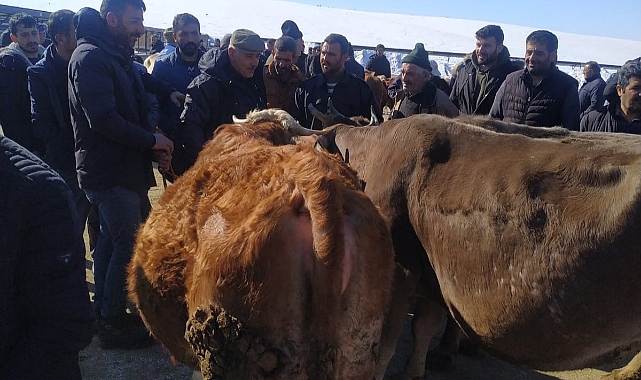 Hayvan pazarında hareketlilik başladı