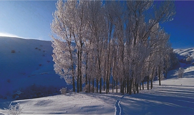 Meteoroloji çığ riskine karşı uyardı!