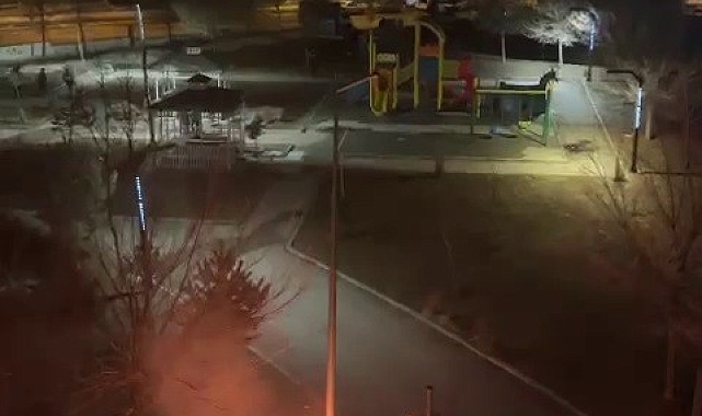 Park halindeki otomobil alev alev yandı