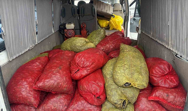 Samsun'da 1,5 ton kaçak midye ele geçirildi