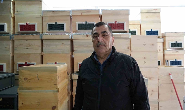 Arı ölümleri korkutuyor