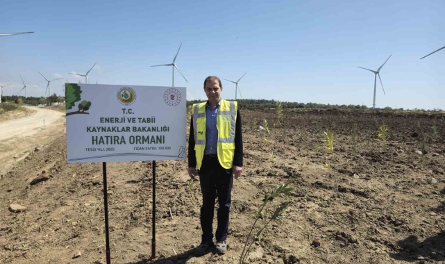 Çanakkale'de 100 bin fidanlık 'Enerji' ormanı