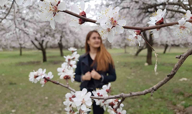 Çiçek açan ağaçların görselliği mest etti