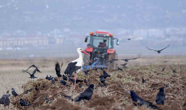 Çiftçilere zirai don uyarısı