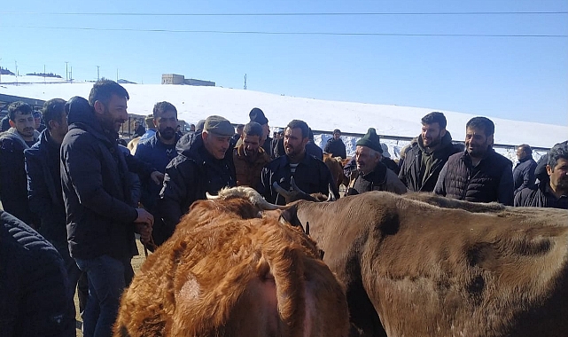 Bayburt’ta kurban hareketliliği