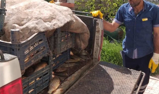 Elazığ'da kaçak avlanan 700 kilogram balık ele geçirildi
