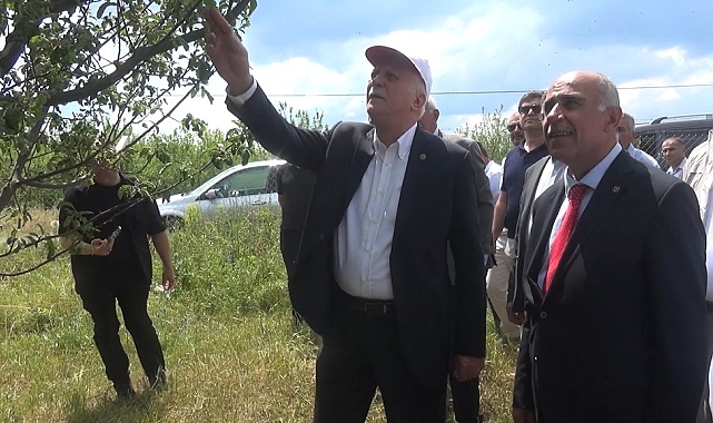 TZOB Başkanı Bayraktar: "Don hadisesi Türkiye'nin yaklaşık 65 ilinde özellikle meyve ürünlerimize büyük zarar verdi"
