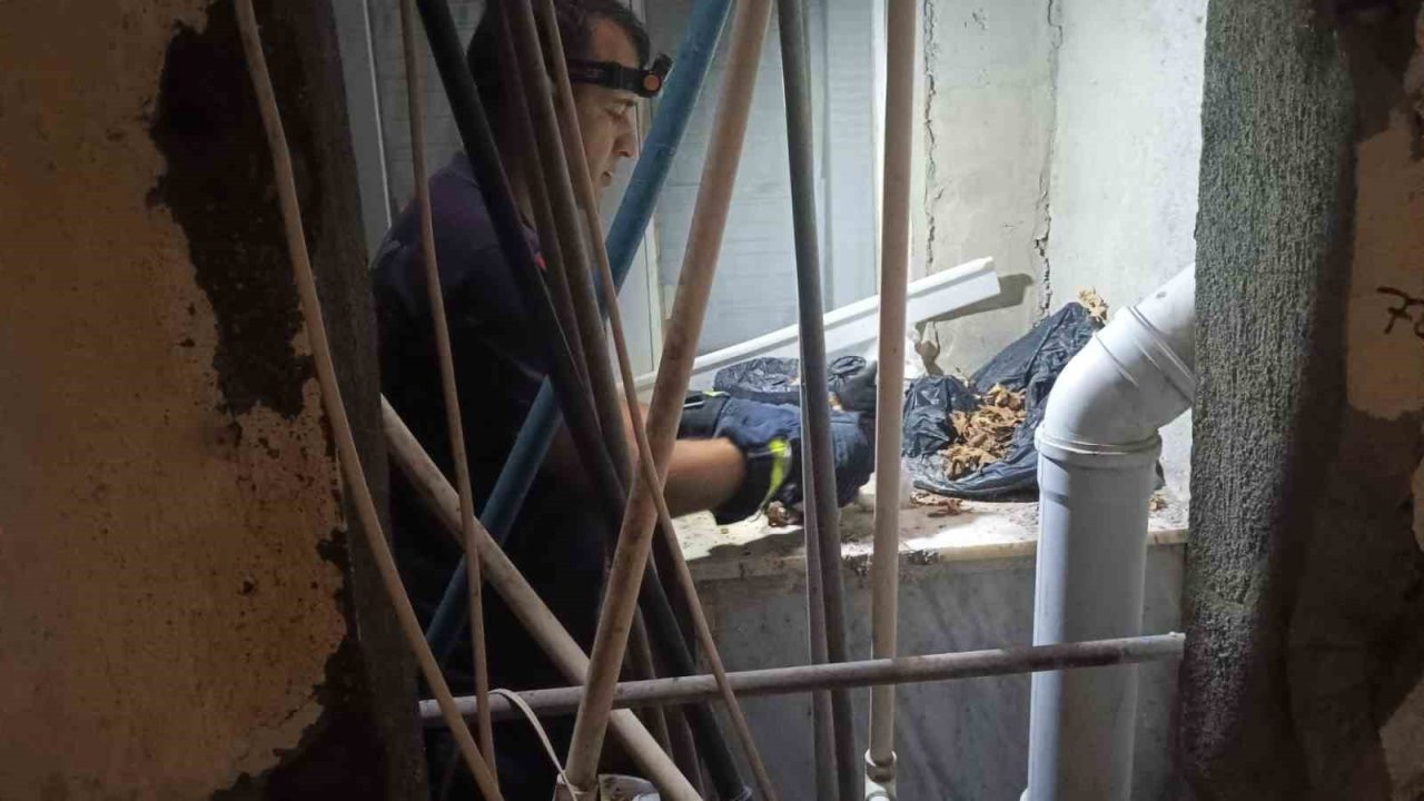 Apartman boşluğuna düşürek mahsur kalan yavru kediyi itfaiye ekipleri kurtardı