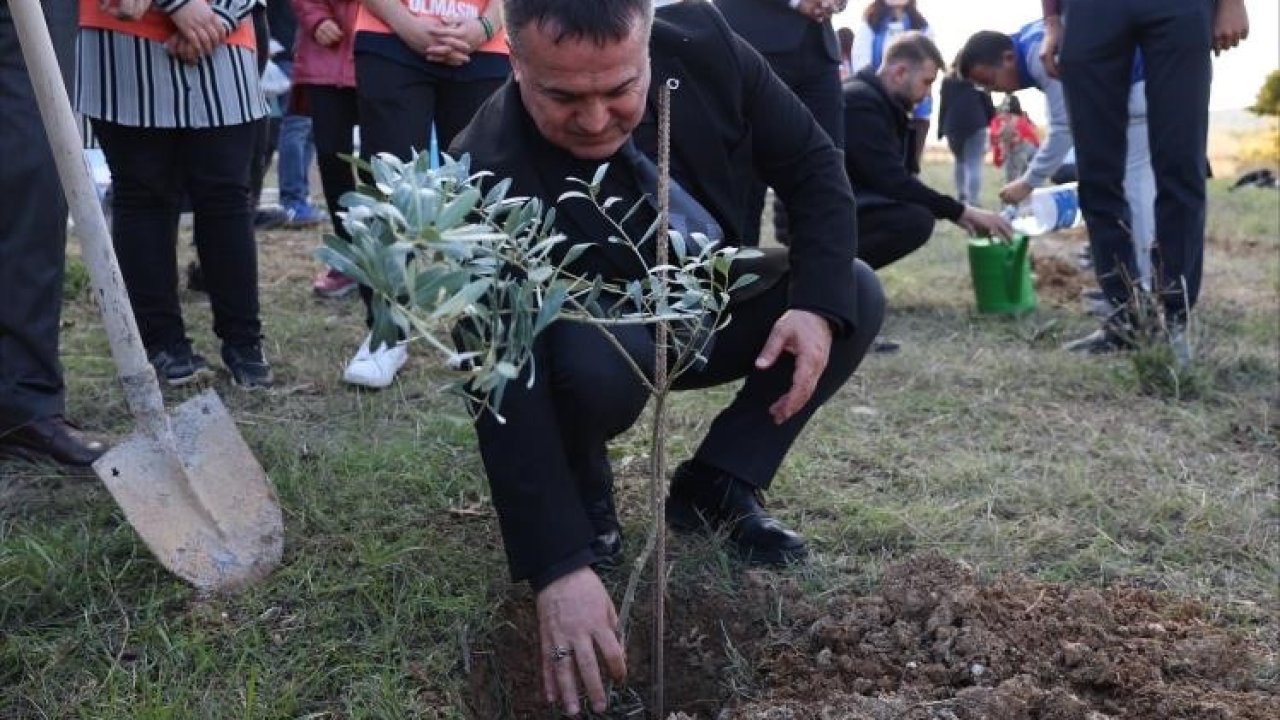 BŞEÜ’de zeytin fidanları toprakla buluştu