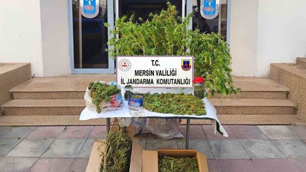 Mersin’de kenevir ekip uyuşturucu üreten şüpheli tutuklandı