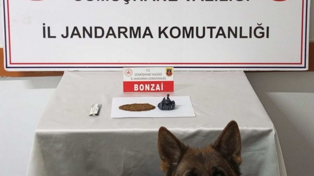 Gümüşhane’de uyuşturucu operasyonu
