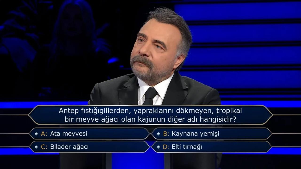 Kim Milyoner Olmak İster 500 Bin TL'lik Kaju Sorusu: Bilader Ağacı Nedir?