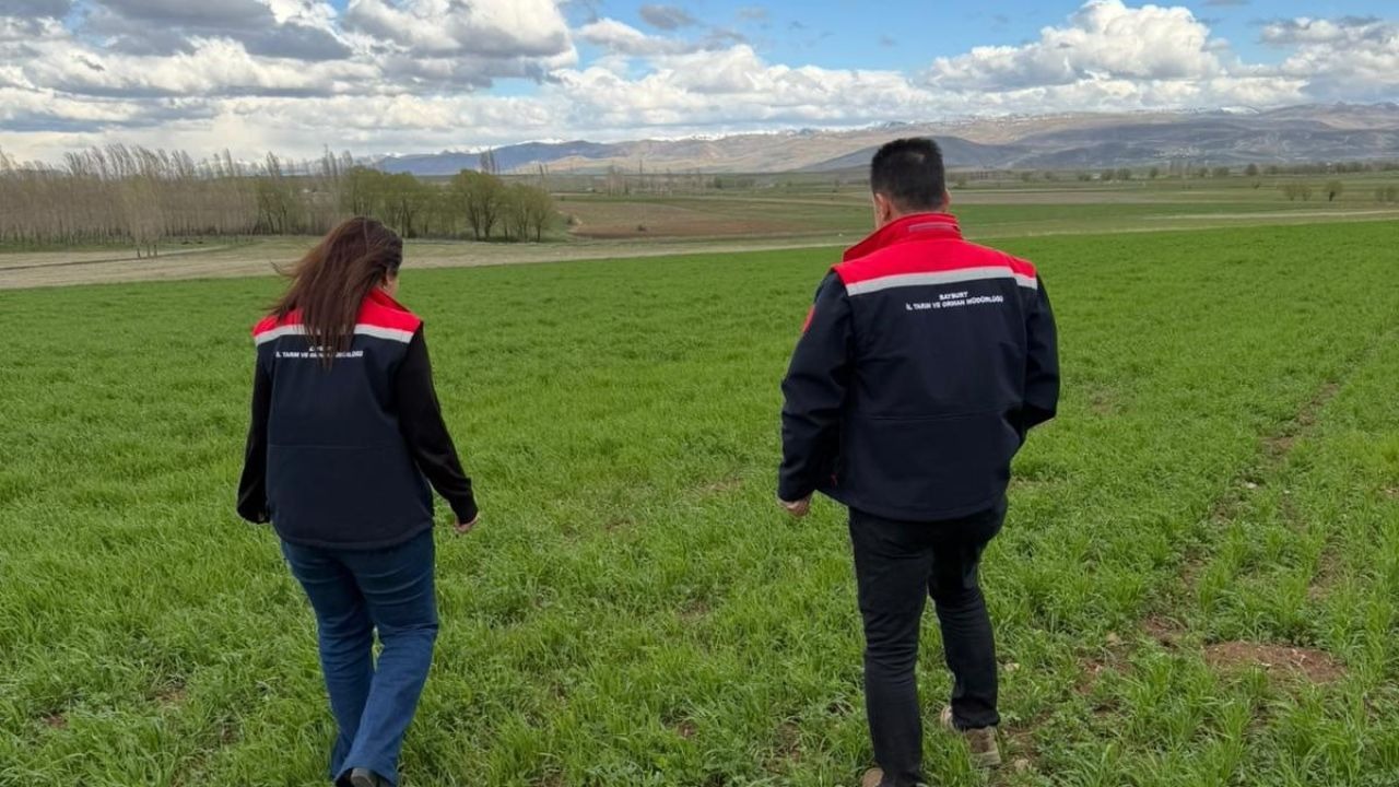 Ekili alanlarda hastalık ve zararlı kontrolü yapıldı